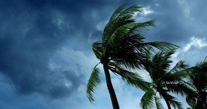 Waving palm trees in windy tropical storm over cloudy dark sky